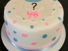 Reveal cake - Beau or a Bow.jpg